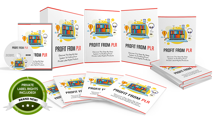 how to make money from plr