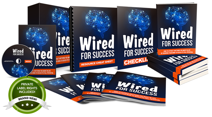 Wired For Success PLR