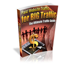 Paid Website Traffic for BIG Traffic