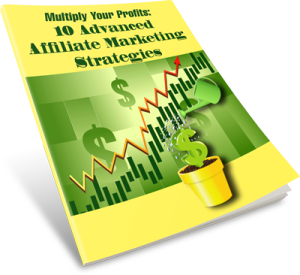 Multiply-Your-Profits-10-Advanced-Affiliate-Marketing-Strategies-eCover-4