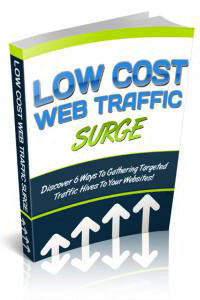 Low Cost Web Traffic Surge